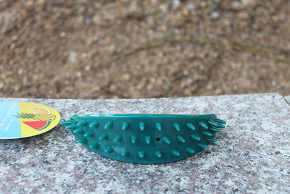 Squeaky Fruit Pal Chew Toy