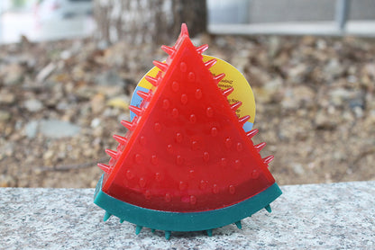 Squeaky Fruit Pal Chew Toy